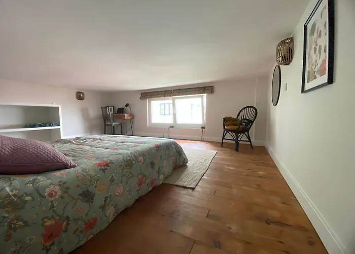 Con Jardin Y Vistas En El Centro De * סנטנדר